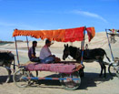 Xinjiang Photos