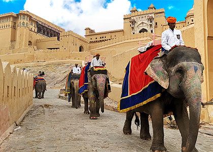 Amber Fort, Jaipur