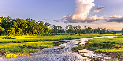 Landscape of Chitwan