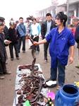 A man sells snake oil in the outdoor market of Shangli in Sichuan Province.