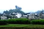 village in the rainny day