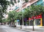 Zhongshan street