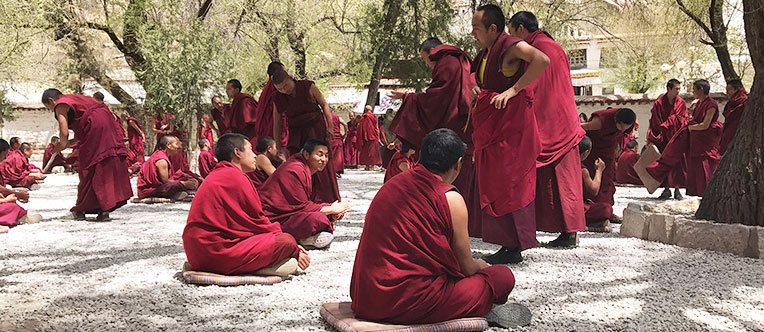 Watch lamas debating on Buddhist doctrines in Sera Monastery