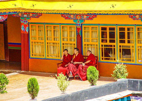 Monks at the temple