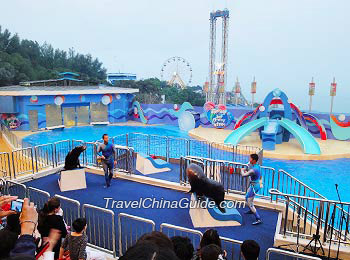 hong kong tour package with disneyland and ocean park