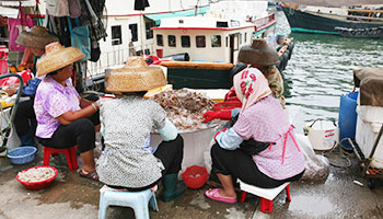 A fishing village in Hong Kong