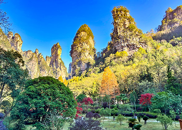 Zhangjiajie Forest Park