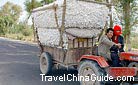 This happy couple in Dunhuang must be overcome with joy of harvest. Look, the high pile of cotton in the tractor rewards their hard work.