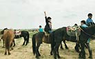 Xilamuren Grassland, Hohhot