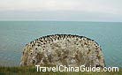 The bird island in Qinghai Lake is a sanctuary for hundreds of thousands of migratory birds.