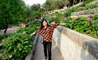 Peony Garden, Luoyang