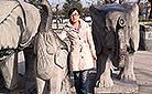 Qinling Wildlife Park, Xi'an