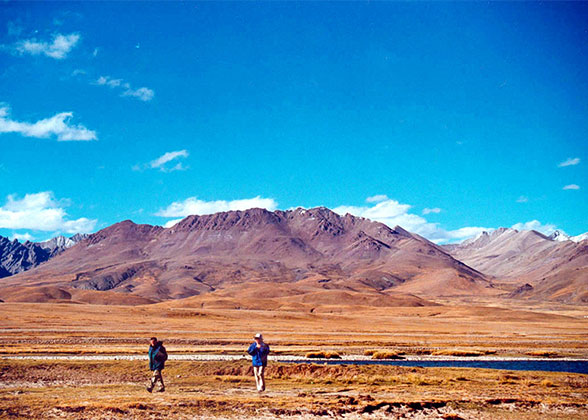 Grassland on the Way