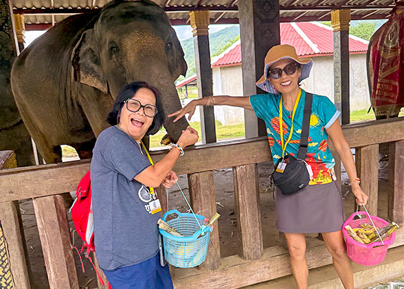 Our Guests at Mandalao Elephant Sanctuary