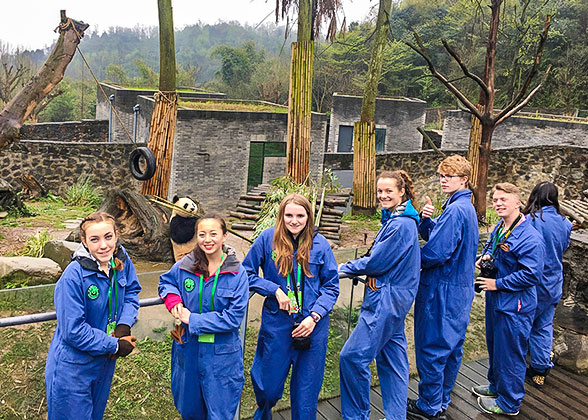 Dujiangyan Panda Base