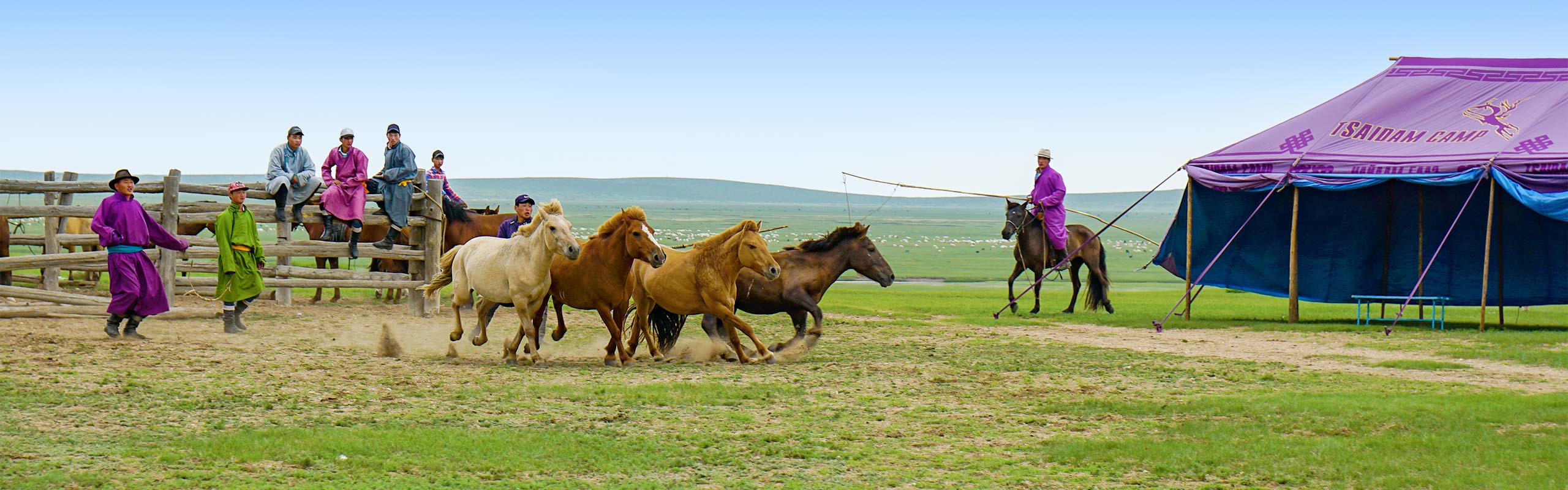 Mongolia Steppe