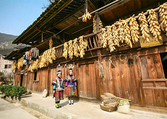 Qingman Miao Village