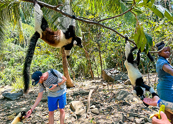 Lemurs in the Garden