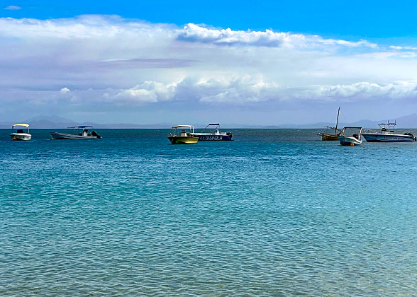 Whale Watching Tour