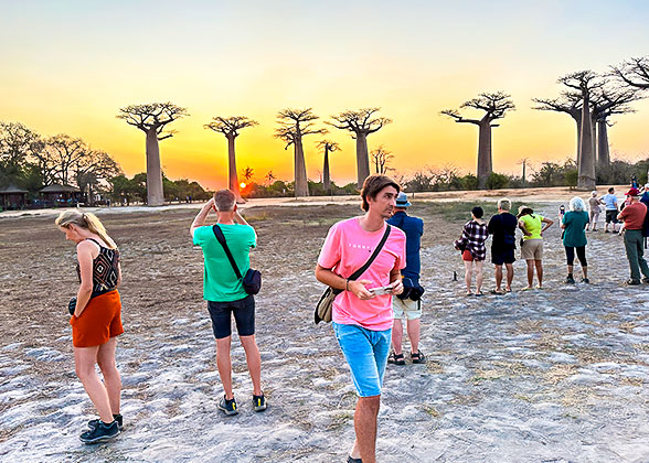 Visit Baobabs Madagascar