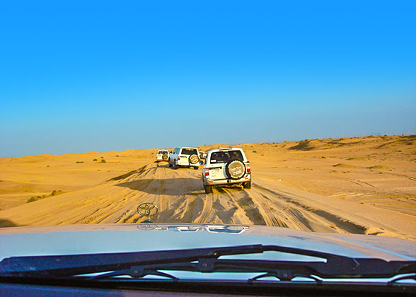 Desert safari in Dubai