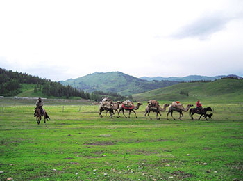 Jiadengyu