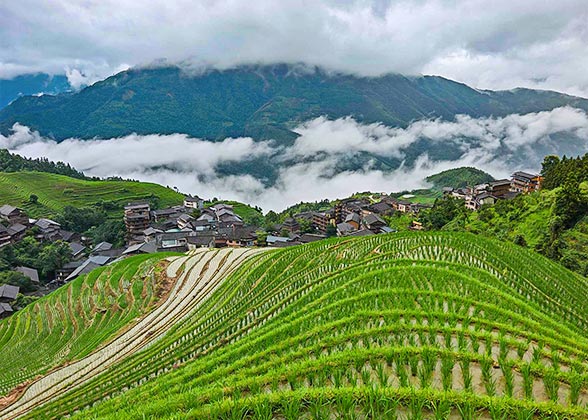 Misty Longji Rice Terraces
