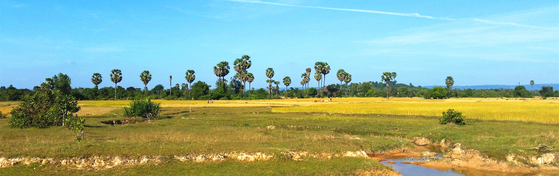 Siem Reap Countryside