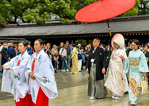 Traditional Wedding in Japan