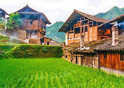 Wooden Stilt House