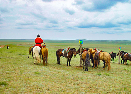 Ordos Grassland