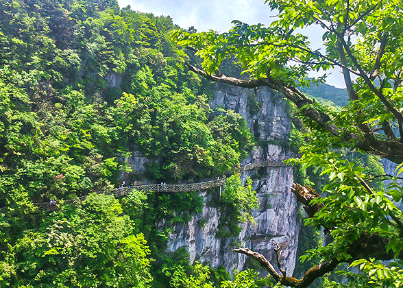 Plank Road of Seven Star Mountain