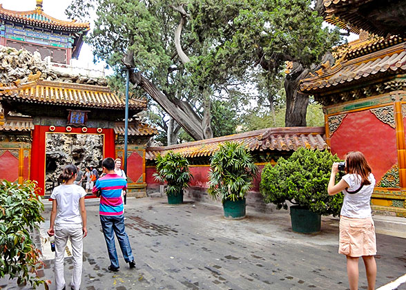 Beijing Half Day Tour to Tiananmen Square and Forbidden City 