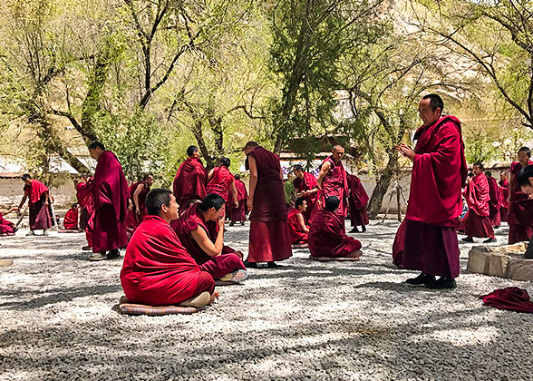 Monks Debating in Sera Temple