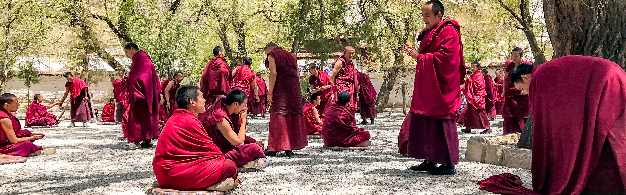 Tibetan Lamas,Qinghai