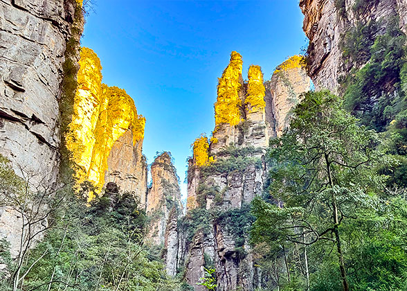 Hike along Golden Whip Stream to View the Gorgeous Peaks