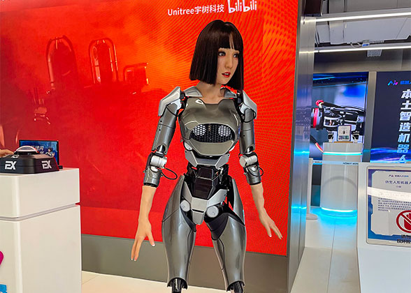 Humanoid Robot Exhibition