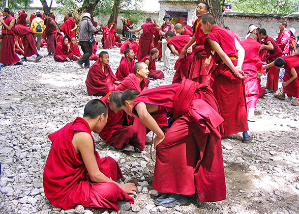 See Monks Debate at Sera Monastery
