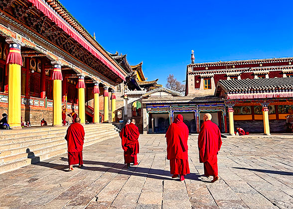 Monks Stroll in Kumbum Monastery