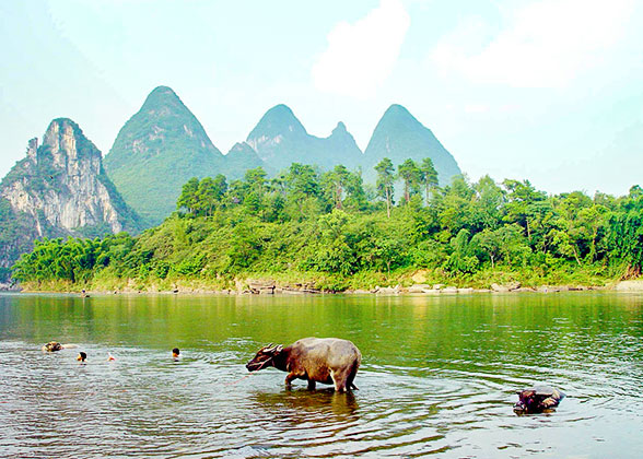 Scenery of Local Countryside