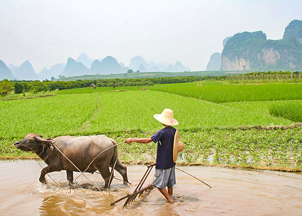 Countryside of Yangshuo