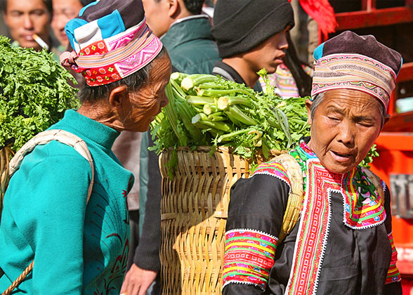 Local Vegetable Market