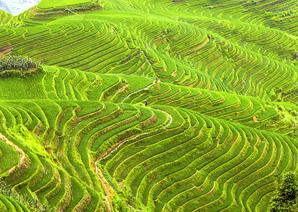 Beautiful Terrace in Guilin