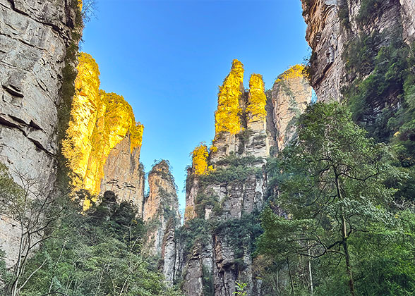 Hiking along Golden Whip Stream