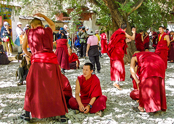 Monks Debating at the Sera Temple
