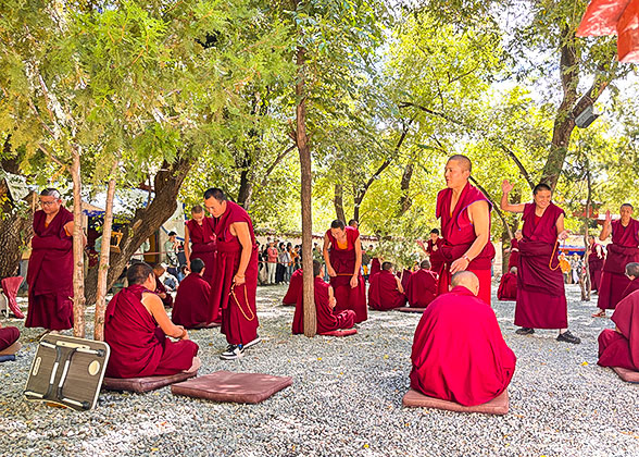 Monks Debating in the Sera Temple