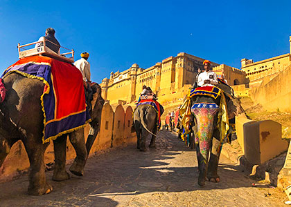 Amber Fort, Jaipur