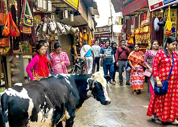 Street Scene of Haridwar