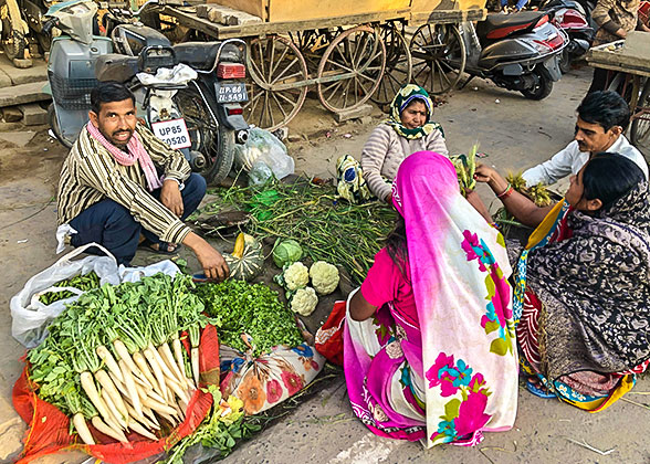Visit the Local Market in Kumarakom
