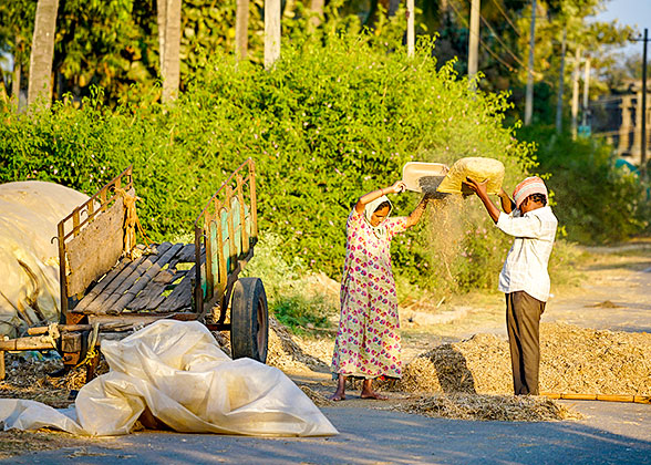 Village Life in India